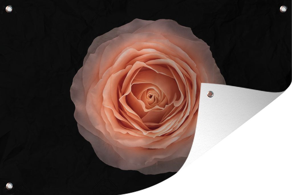 MuchoWow 90x60 cm Outdoor-Poster Gartendeko Sichtschutz Garten Poster für den Garten Runde Form Rosa Blume auf schwarzem Hintergrund, Ansicht v...