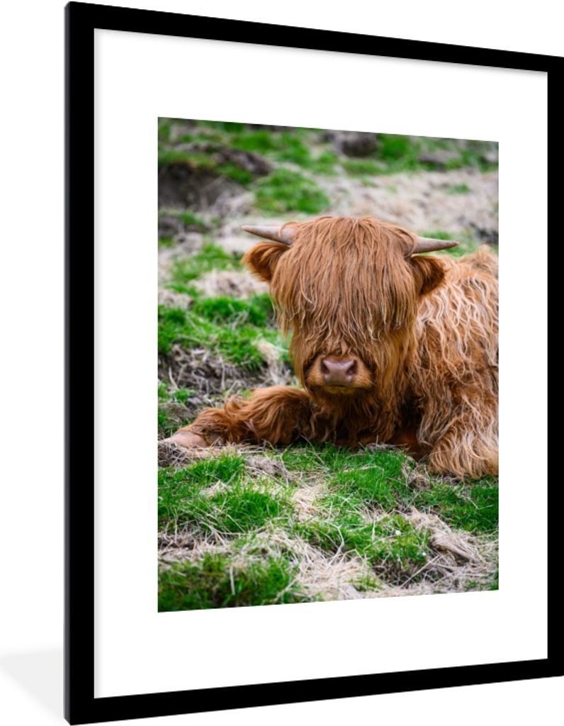 MuchoWow Gerahmtes Poster Schottischer Highlander - Heu - Gras 60x80 cm - Poster mit Schwarzem Bilderrahmen Wandposter Rahmen Foto Bilder - Wohnz...