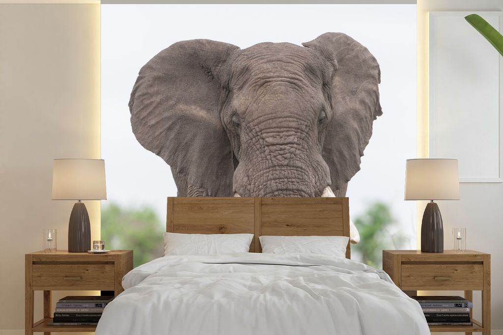 MuchoWow Fototapete für Wohnzimmer oder Schlafzimmer Wandtapete Vinyl Motivtapete Entgegenkommender Elefant - 280x280 cm - Hintergrundbild