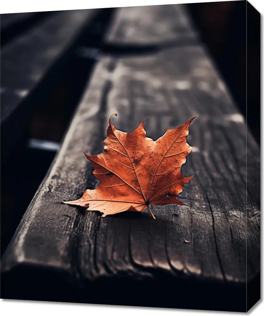 Image grand format 50 x 60 cm sur papier premium feuille individuelle