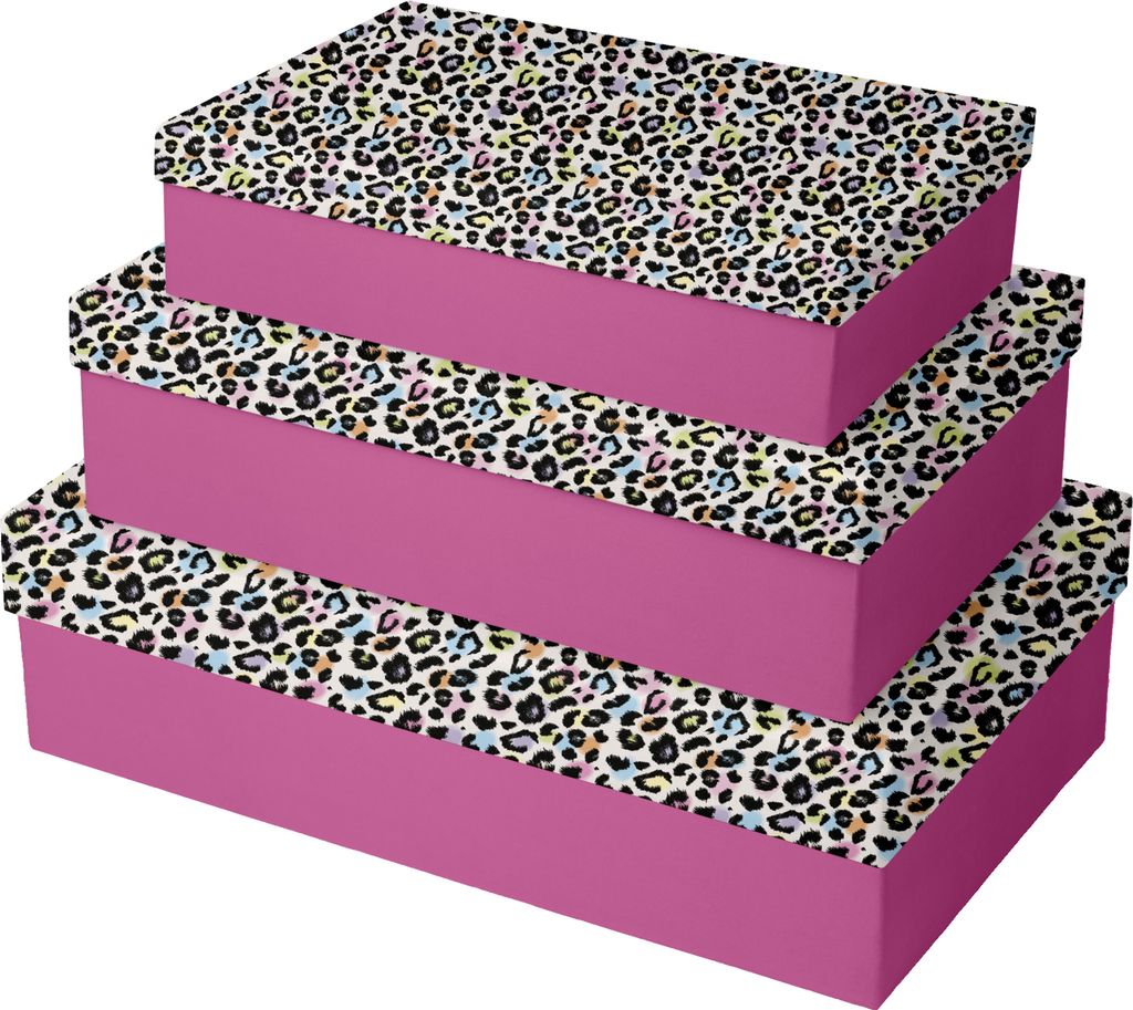 Clairefontaine Set 3 Boxen Leopard rechteckig - K-30741-BXC