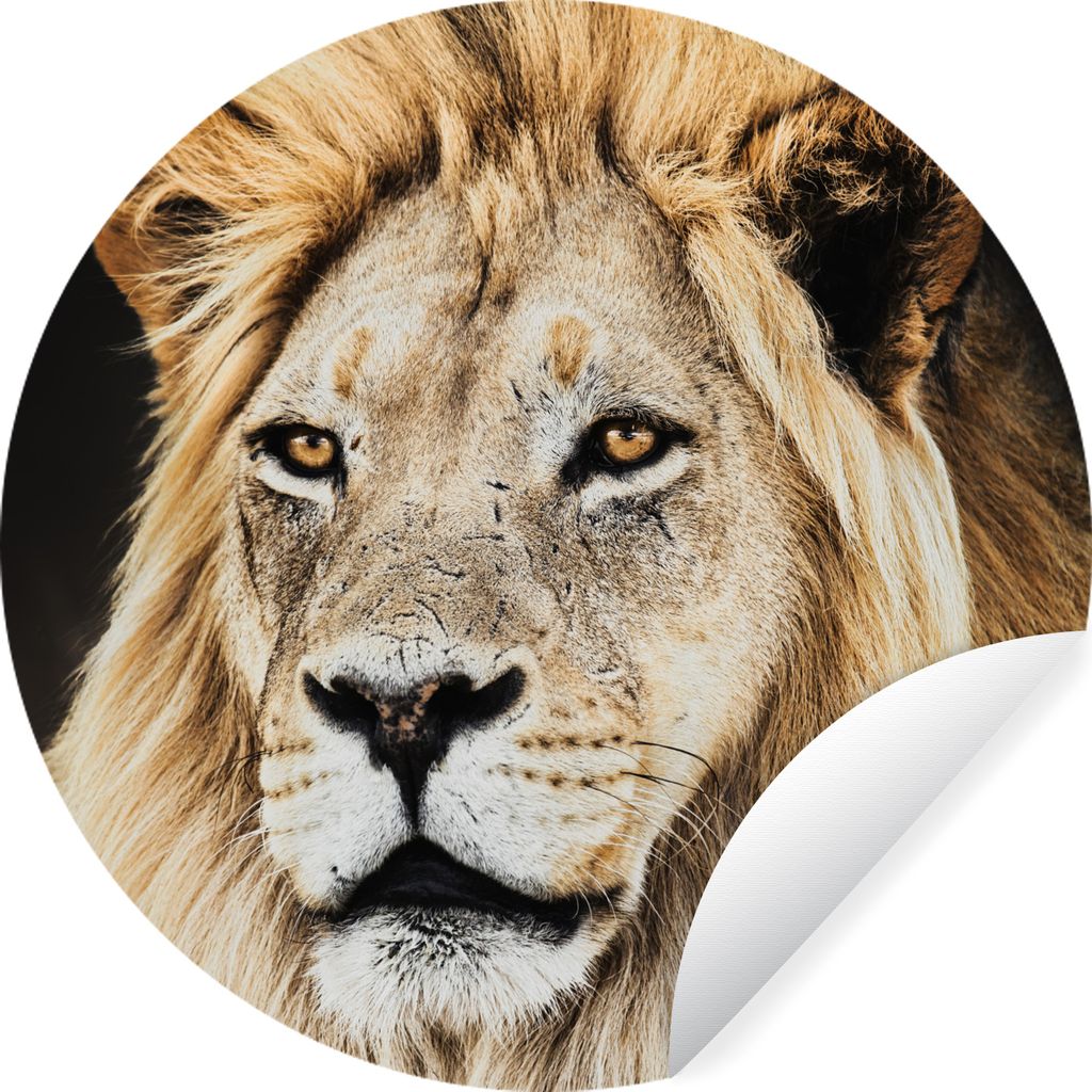 MuchoWow - Mauerkreis - Wand Bilder - Wandsticker - Wohnzimmer Dekoration - Dekoration für die Wände - Aluminium - Babyzimmer