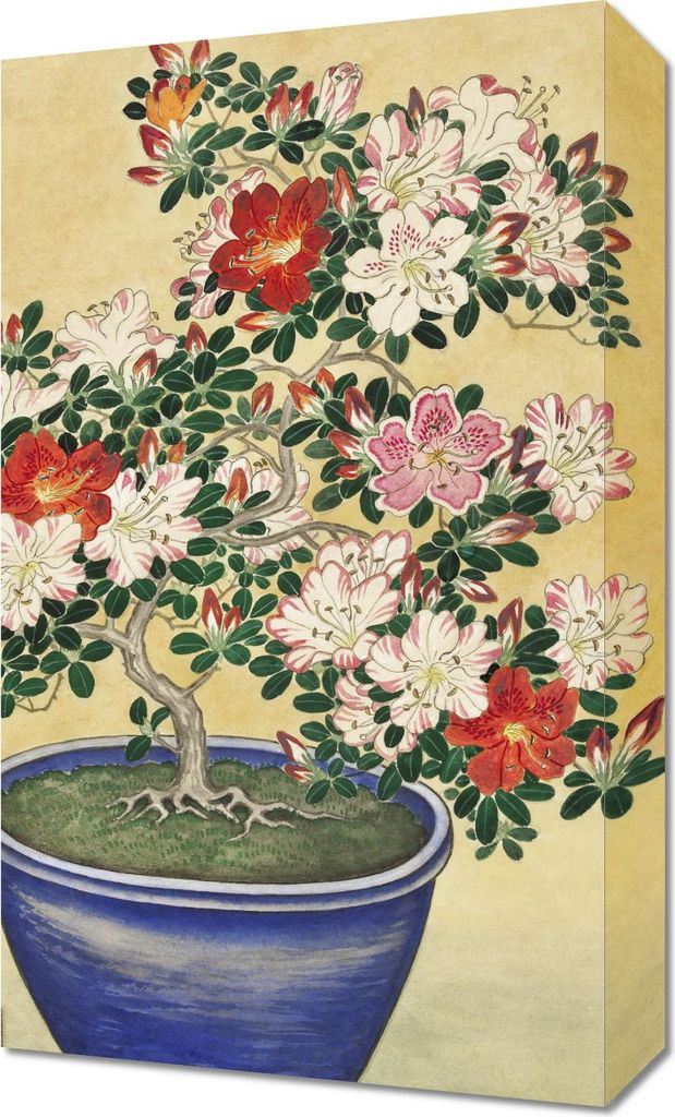 Bild 30x50cm Blühende Azalee, Japanische Koson Vintage für das Wohnzimmer