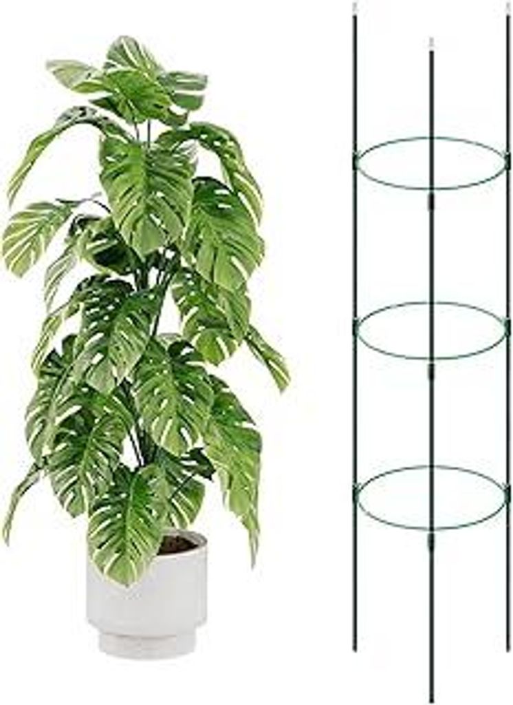 Bamworld Hohes Rankgitter Pflanzenstütze Tomatenstab für Kletterpflanzen (120 cm Höhe)