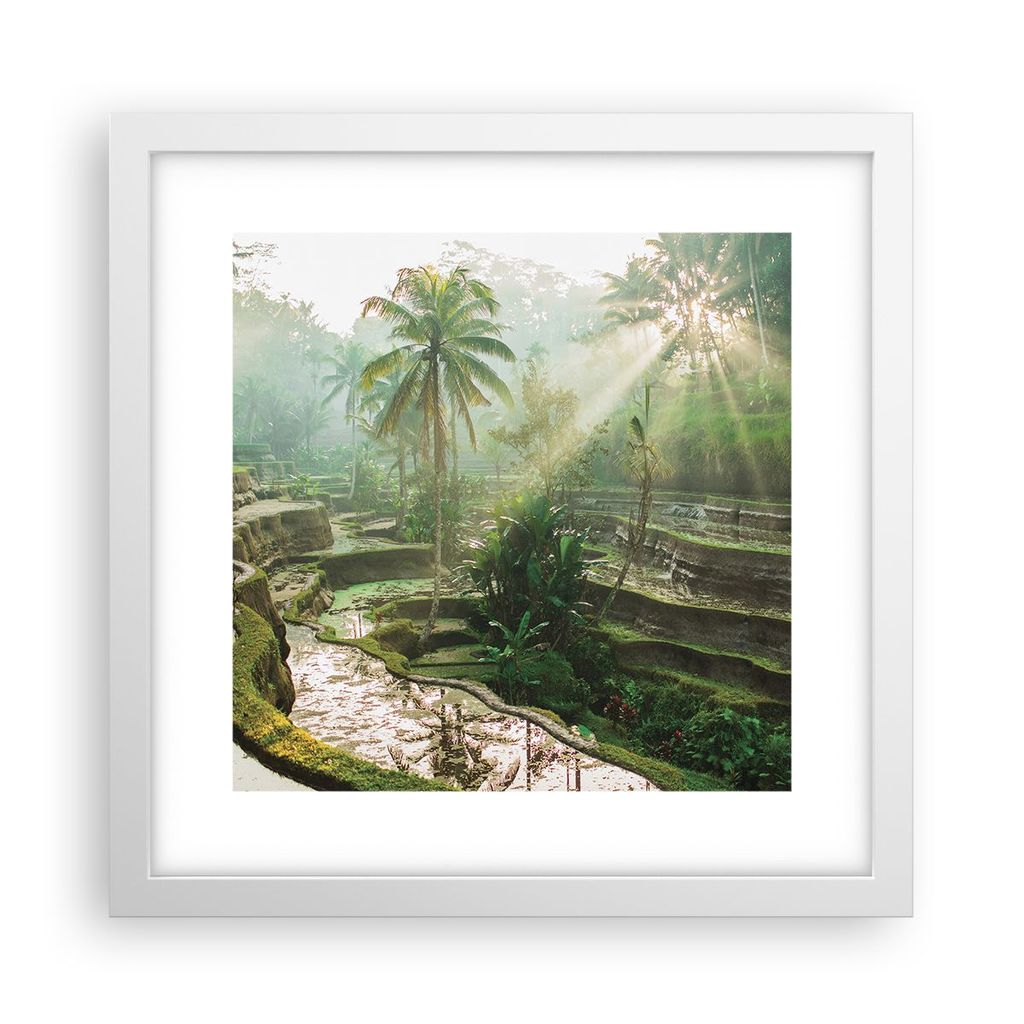 Gerahmtes Poster - Weißer Rahmen - Terrassen Reis Palmen - 30x30 cm - Wand Bild - Wanddeko - Wandbilder - Kunstposter - Wandposter - Bilderrahmen ...