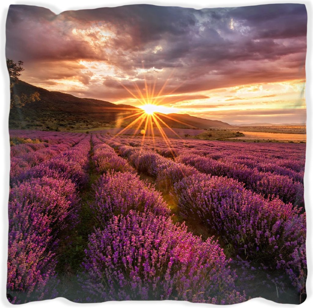 Wallario Premium Kissen, weiche Oberfläche, mit Motiv Lavendelfeld bei Sonnenuntergang - Sonnenstrahlen, Größe: 30 x 30 cm, mit weißer Rückseite