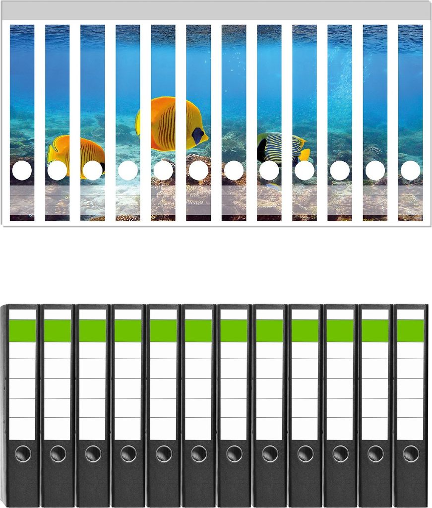 Wallario 12 Stück schmale Ordner inkl. Klebeetiketten mit Motive Exotische Fische im Meer - Set mit Rückenschildern / Ordnerrücken Stickern