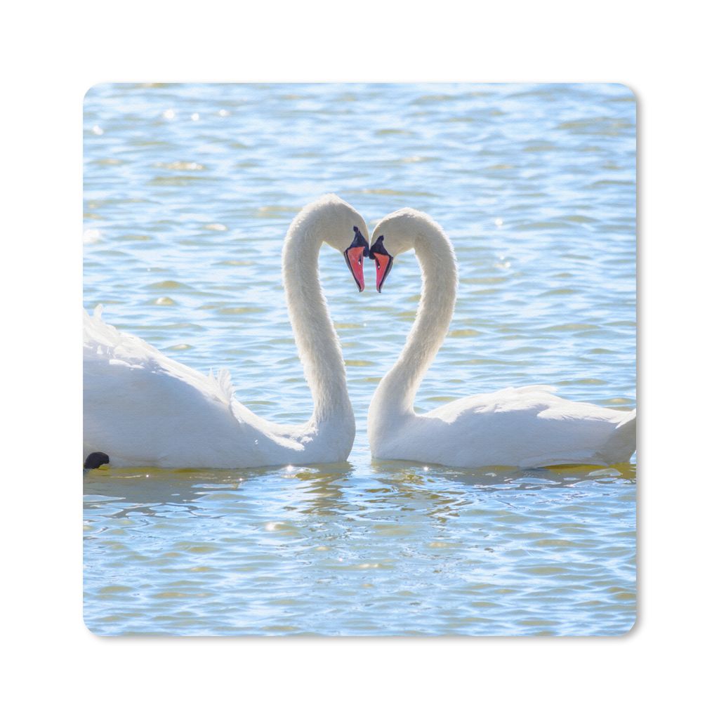 MuchoWow Mauspad Mousepad Vögel - Schwan - Wasser - Liebe - Sonne 30x30 cm - Mousepads - Maus Mat - Pad - Mausunterlage - Gaming
