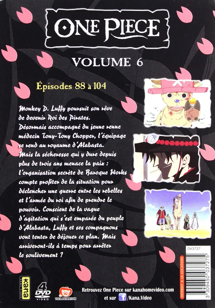 One Piece Version Originale Intégrale coffret de 4 DVD pour collection - 2