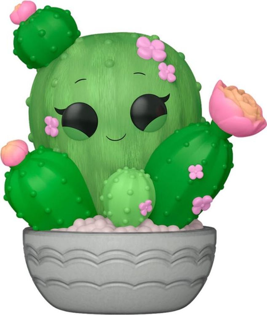Flora Barrel Cactus - Indoor Plant, Low Maintenance, 6 Inches Tall