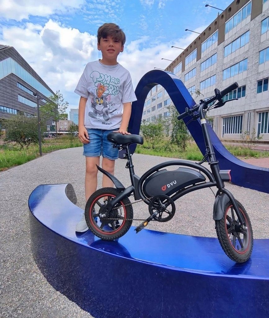 DYU D3F 14" skladací bicykel E-Bike 250W Mountainbike 36V Obrázok produktu 9