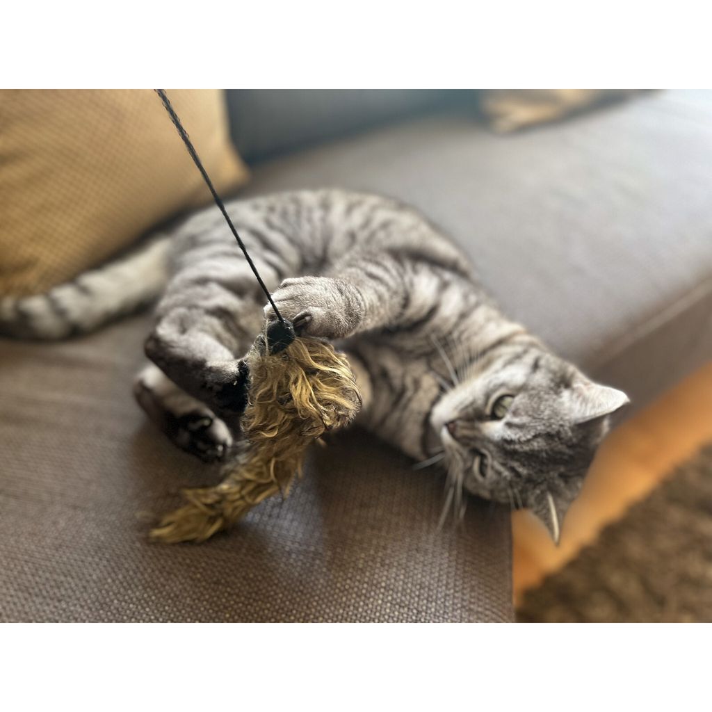 Aumüller Katzenspielangel WOOZLE - mit Katzenminze Produktbild 