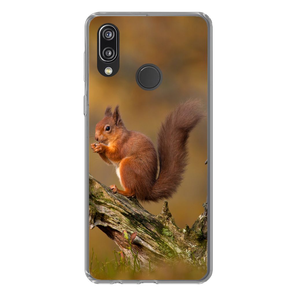 MuchoWow Handyhülle Schutzhülle Hülle für Huawei P20 Lite (2020) Eichhörnchen - Baumstamm - Wald Silikon Softcase Handy Hülle - Kartenhalter