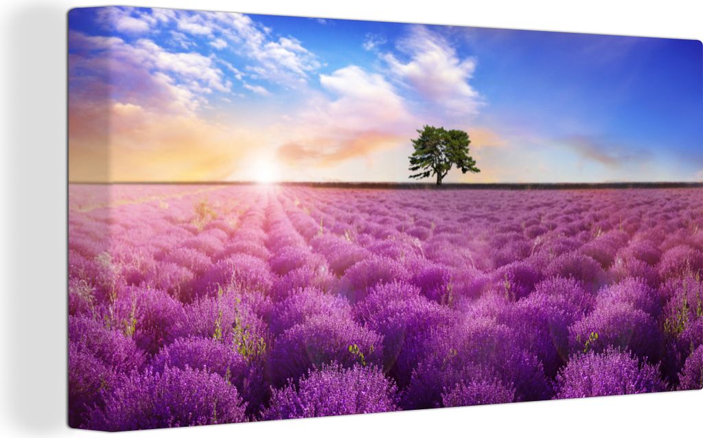 OneMillionCanvasses - Leinwandbilder - Bild auf Leinwand Wandbild Leinwandbild Lavendel - Baum - Sonnenuntergang - Lila, 80x40 cm, Kunstdruck Wan...