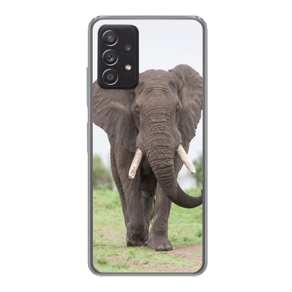 MuchoWow Handyhülle Schutzhülle Hülle für Samsung galaxy a73 Elefant - Tiere - Gras - Natur Silikon Softcase Handy Hülle - Handyhülle