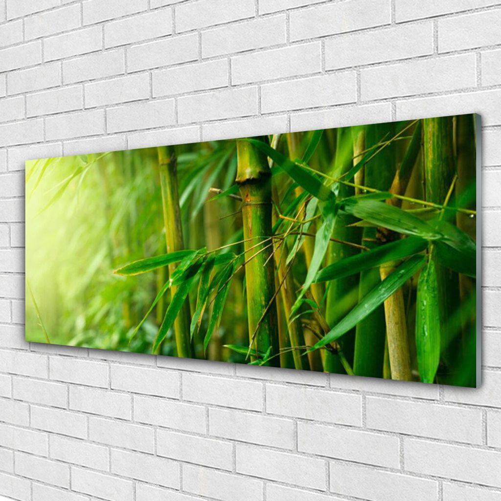 Acrylglasbilder 125x50 Wandbild Druck Bambusrohre Pflanzen
