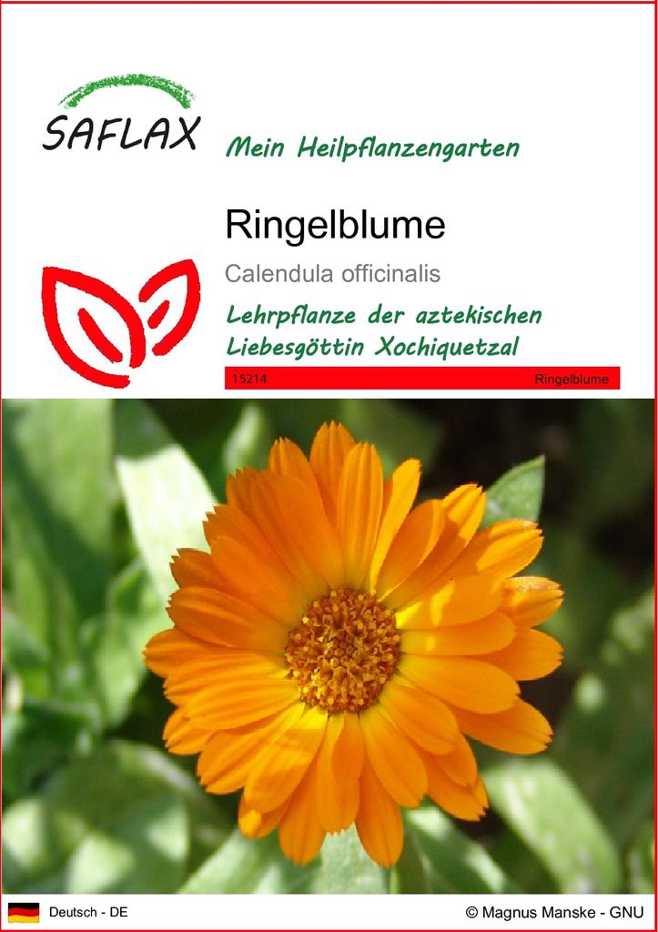 SAFLAX - Heilpflanzen - Ringelblume - 50 Samen - Calendula Produktbild 