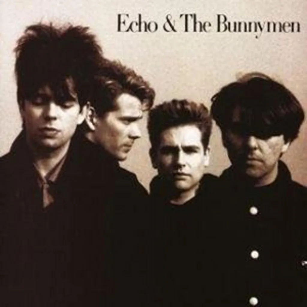 Album Echo & The Bunnymen - Pressage Audiophile en Vinyle Noir 180g