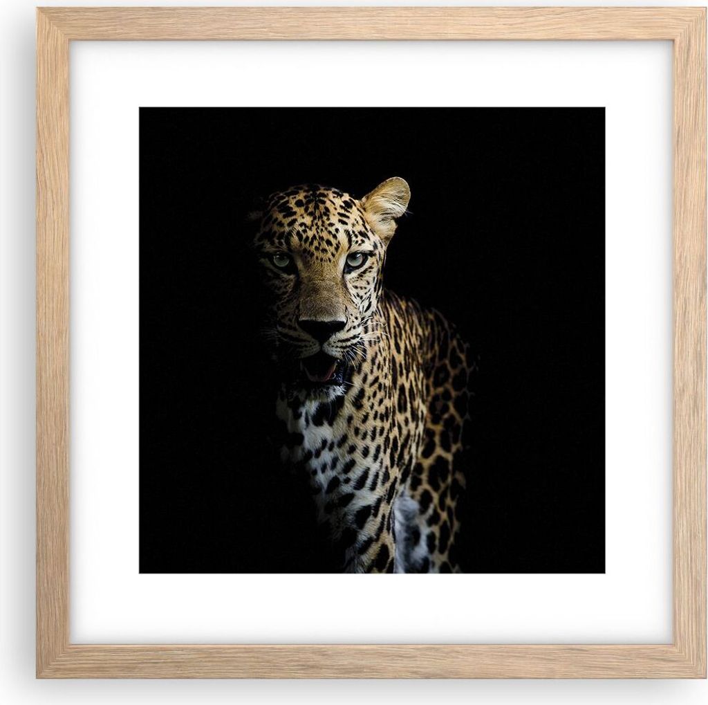 Gerahmtes Poster - Rahmen in heller Eiche - Schattig Leopard Panther - 30x30 cm - Wand Bild - Wanddeko - Wandbilder - Kunstposter - Wandposter - Bi...