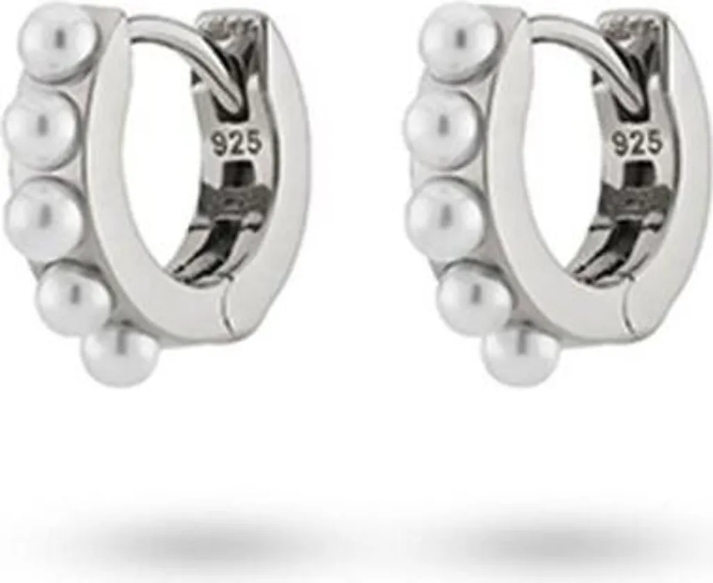 Gioielli 24KAE 42419S: Orecchini in Argento per Momenti Speciali