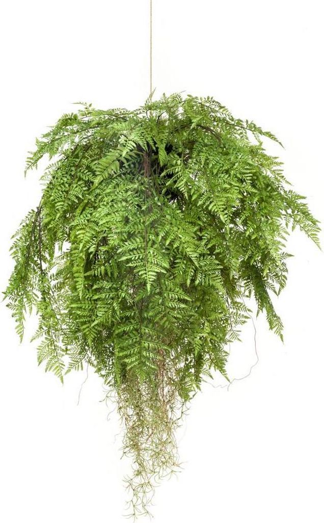 artplants.de Kunst Boston Farn Blumenampel NILO, Erdball, Wurzeln, 100cm, Ø 80cm - Deko Boston Farn - Kunst Schwertfarn