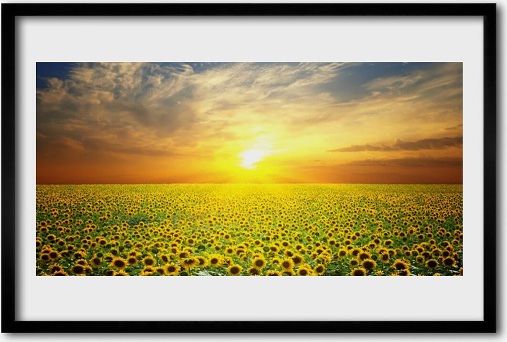 Bild 60x40 MDF-Rahmen Wandkunst Sun Wiese Sonnenblumen
