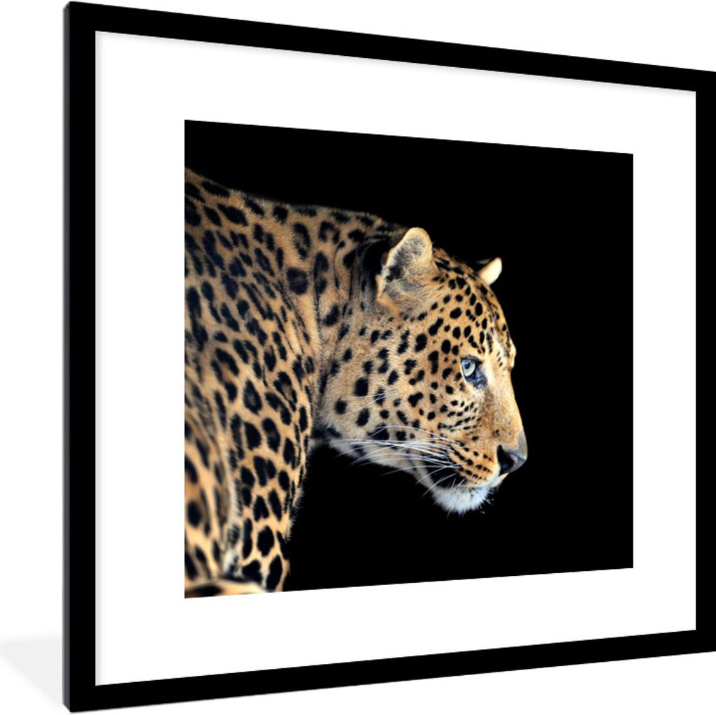 MuchoWow Gerahmtes Poster Leopard - Tiere - Schwarz 40x40 cm - Poster mit Schwarzem Bilderrahmen Wandposter Rahmen Foto Bilder - Poster - Plakat ...