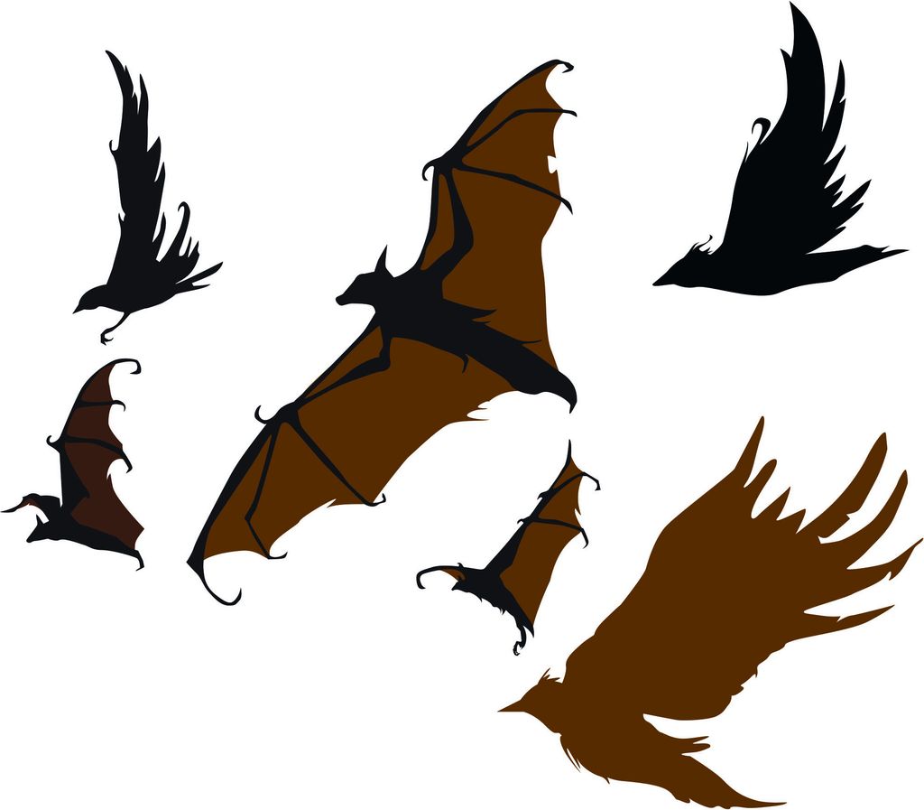 Kiwistar Flughund Fledermaus Mehrfarbig WANDTATTOO 60 x 53cm - Dekoration für Kinderzimmer Schlafzimmer Wohnzimmer Küche Badezimmer