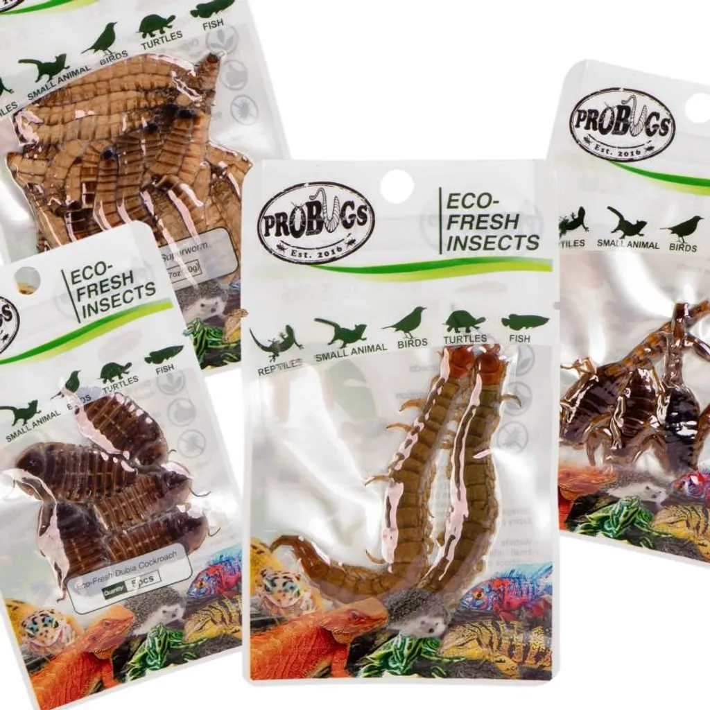Set Insetti ProBugs Rettili Grandi - Il Sapore della Fattoria Organica