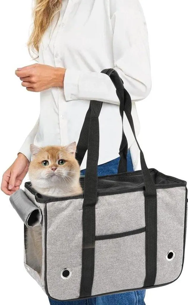 Caisse de transport chat et petit chien aérée avec accès par le haut