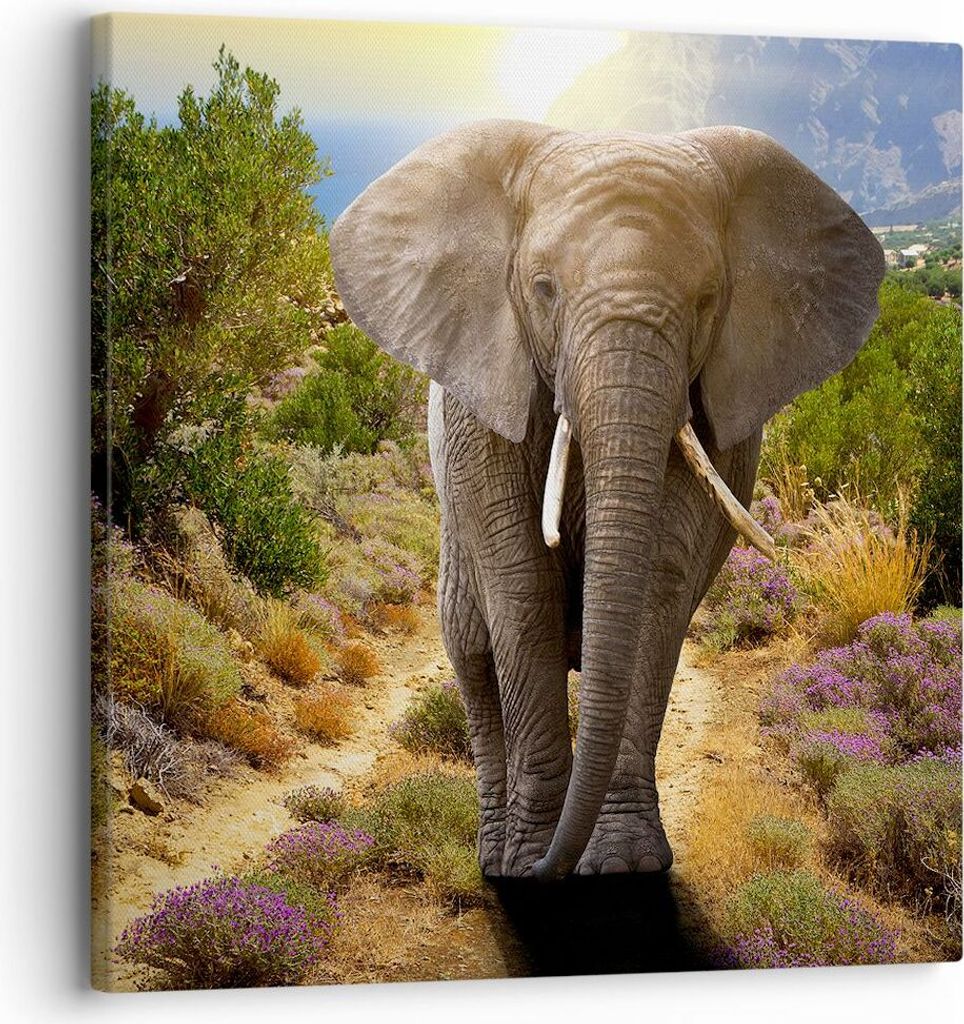Bild auf Leinwand - Leinwandbild - Tiere Afrika Elefanten Spaziergang - 30x30cm - Wand Bild - Wanddeko - Leinwanddruck - Bilder - Kunstdruck - Lein...
