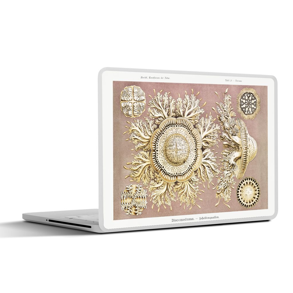 MuchoWow Laptop Aufkleber Sticker Cover Jahrgang - Ernst Haeckel - Qualle - Kunst 25x18 cm - Laptop-Deko