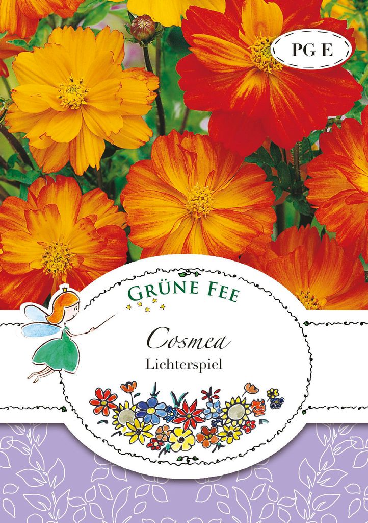 Grüne Fee - Cosmea Lichterspiel Samen - 13253 Produktbild 