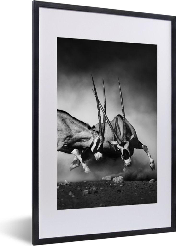 MuchoWow Gerahmtes Poster Antilope - Schwarz und weiß - Porträt - Wildtiere - Tiere 40x60 cm - Poster mit Schwarzem Bilderrahmen Wandposter Rah...