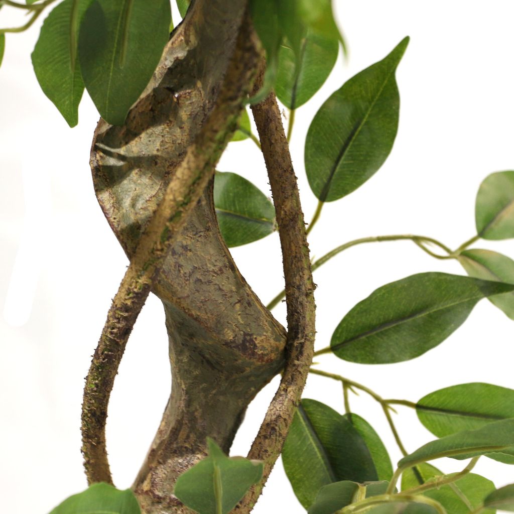 hjh OFFICE Kunstpflanze FICUS I Knstliche Pflanze Birke