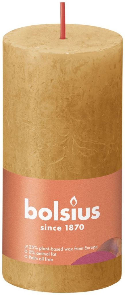 Bolsius Rustik Stumpenkerze Honigwaben Gelb 100/50mm