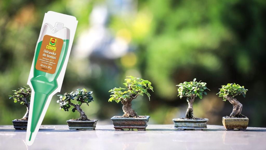 rasen düngen kaninchen Bio-Rasendünger kaufen