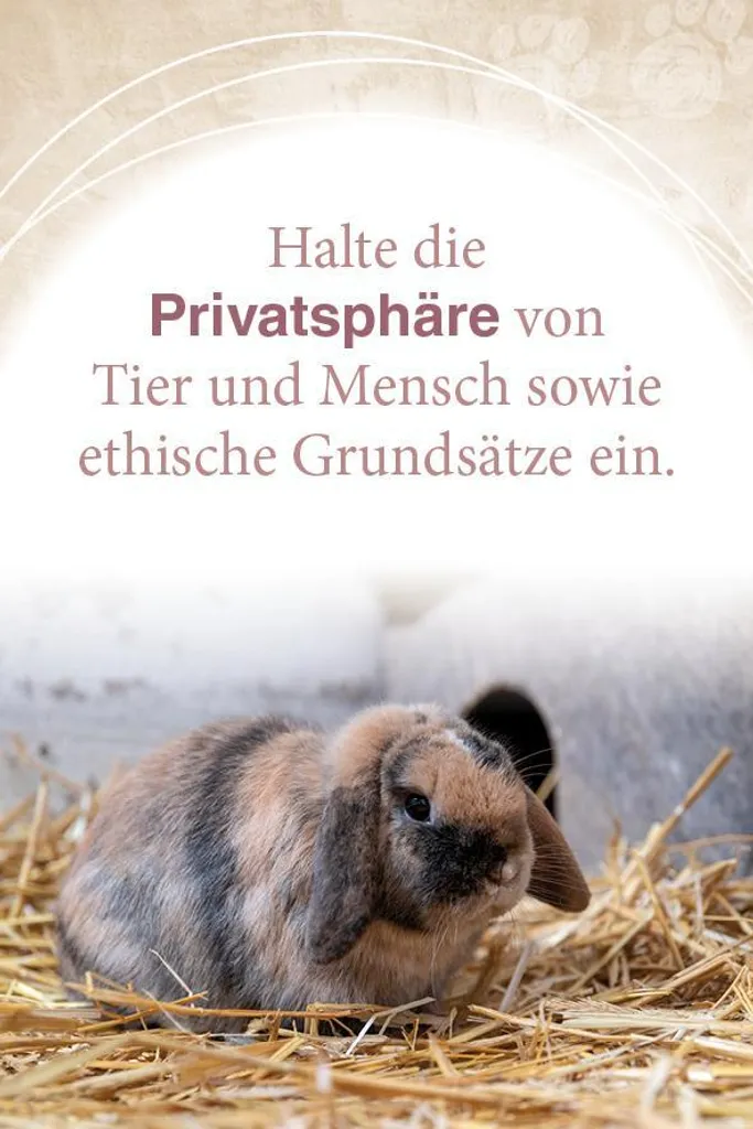 Apprendre à communiquer avec les animaux : méthode et guide de télépathie