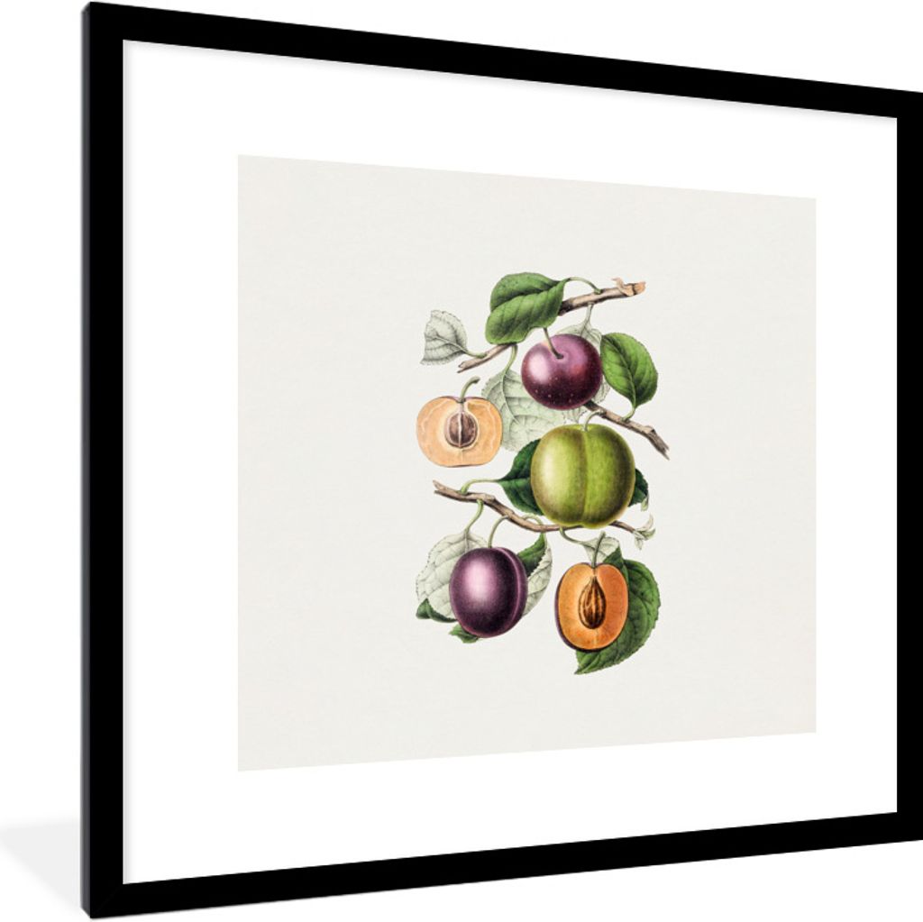 MuchoWow Gerahmtes Poster Pfirsich - Obst - Vintage 40x40 cm - Poster mit Schwarzem Bilderrahmen Wandposter Rahmen Foto Bilder - Poster - Plakat ...