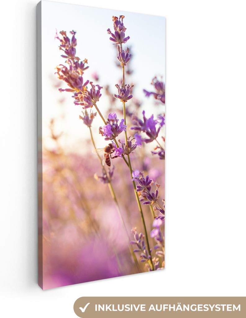MuchoWow - Leinwandbilder - Lavendel - Nahaufnahme - Sonne - Blumen - Lila, Wandbild, Wanddeko Bilder Wohnzimmer, 20x40 cm