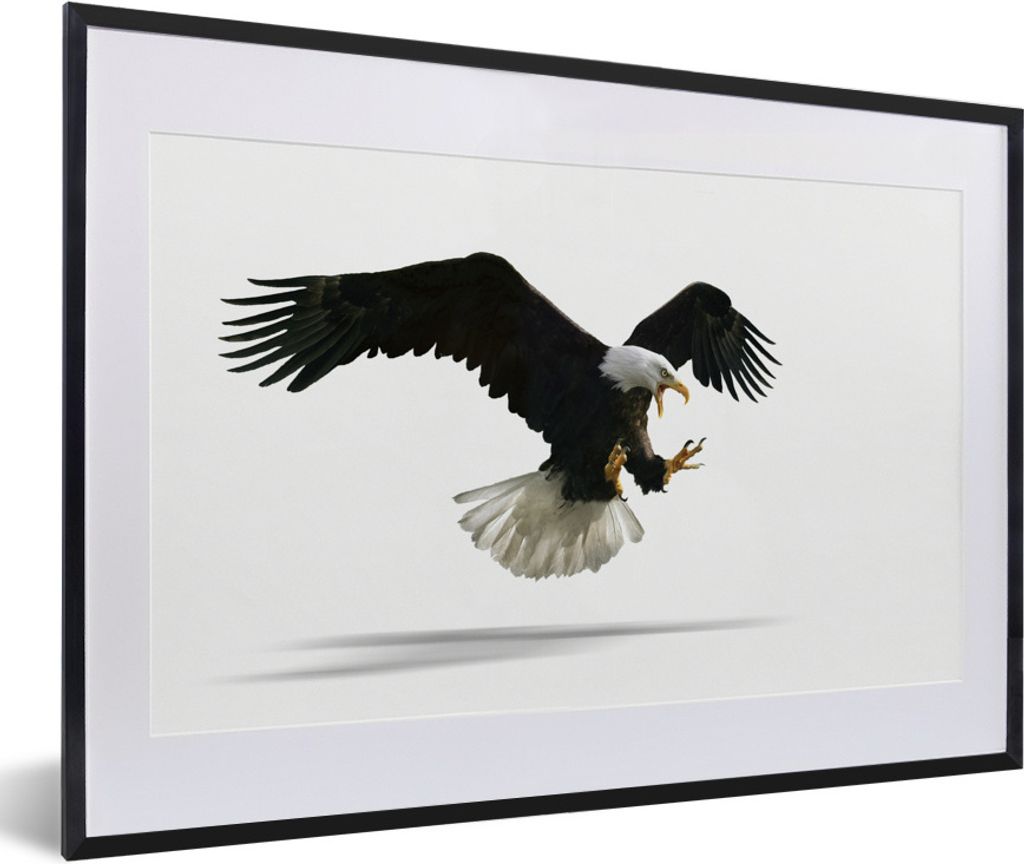 MuchoWow Gerahmtes Poster Adler - Vogel - Weiß 60x40 cm - Poster mit Schwarzem Bilderrahmen Wandposter Rahmen Foto Bilder - Schlafzimmer - Plaka...