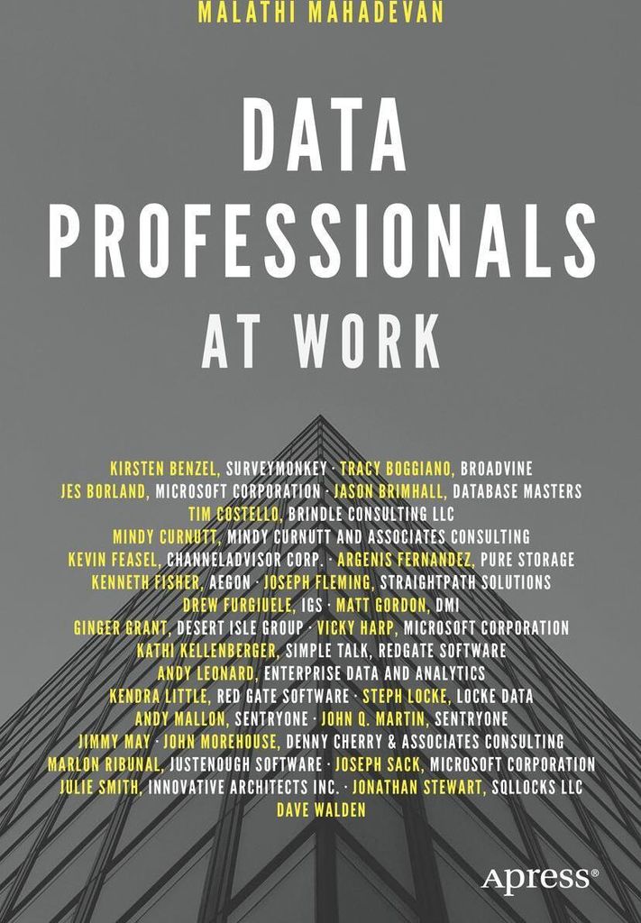 Data Professionals at Work