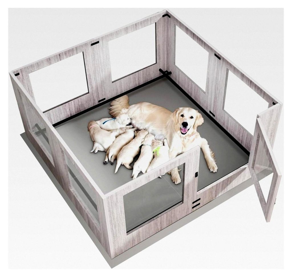 Wurfkiste für Hunde: Schwerlast Hundelaufstall für die Wohnung aus gehärtetem Glas, 60 cm hoch, Holz Welpenbox XXL mit wasserdichter Bodenmatte ...