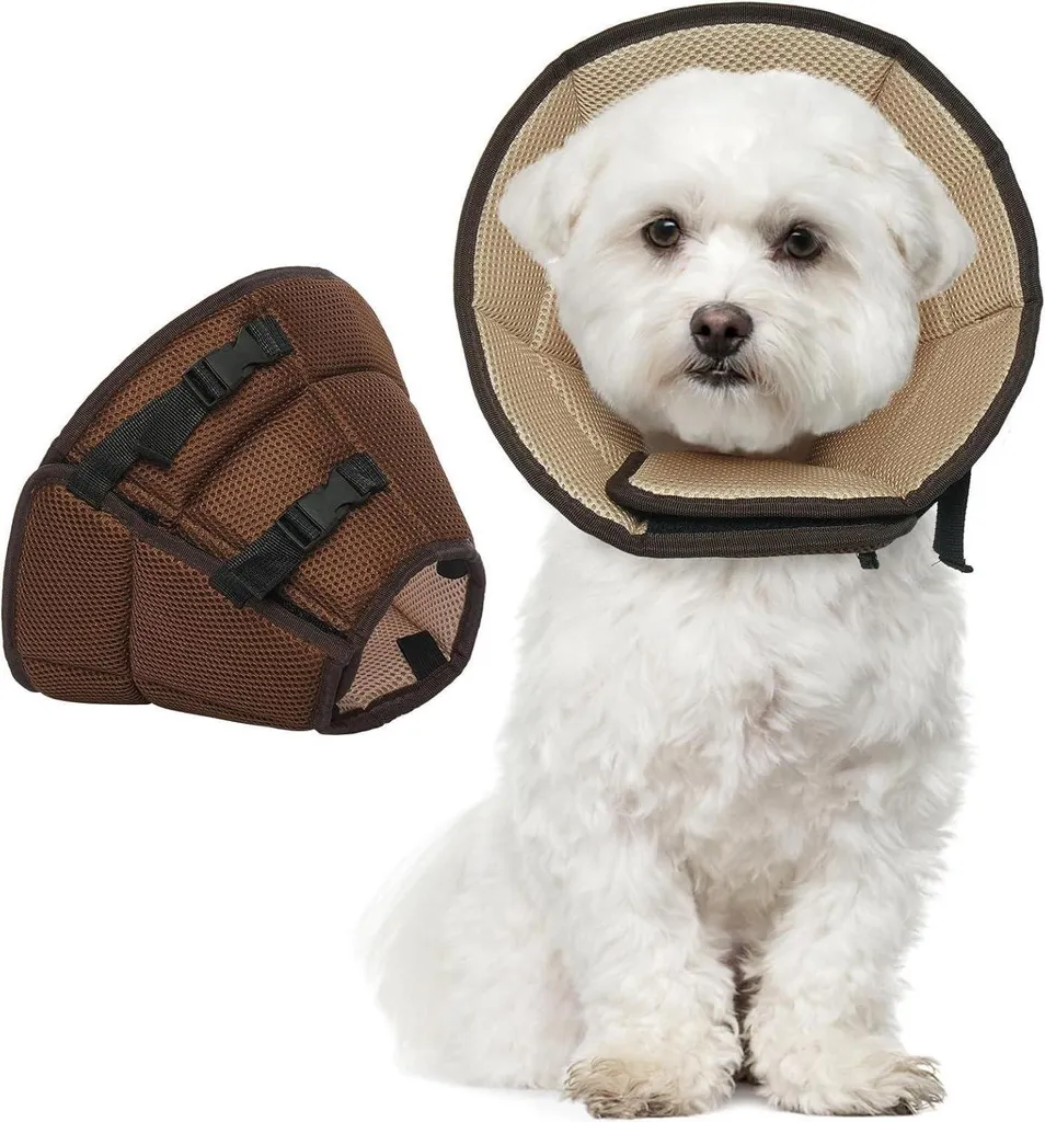 Collier Kuoser pour chien Marron M 28-36cm - Protection anti-fuite pro