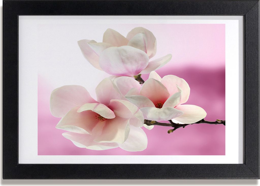 Bild 30x20 MDF-Rahmen, Wandkunst Magnolie