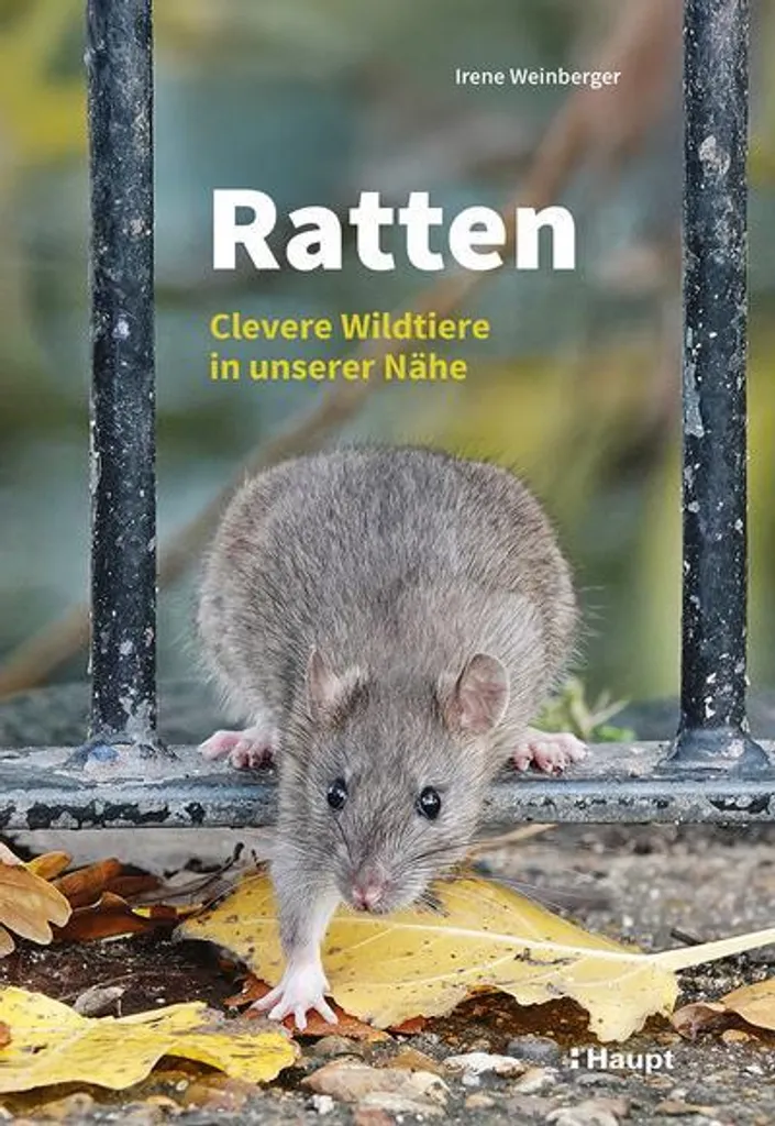 Malle en rotin RATTEN pour ranger le linge dans la chambre enfant