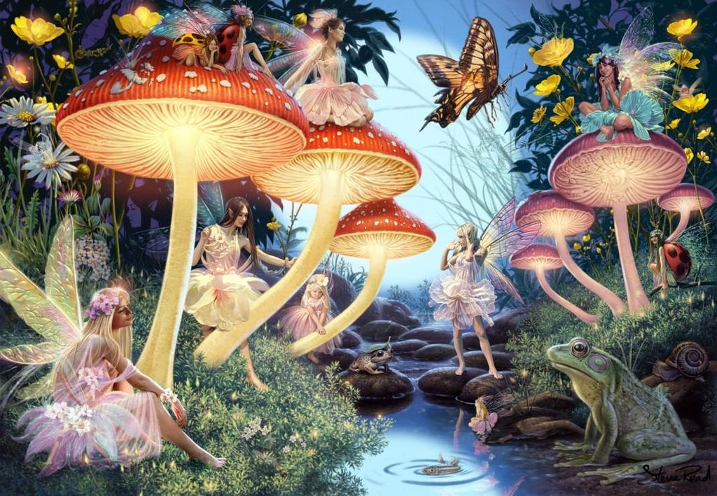 Grafika Puzzle Toadstool Brook 1000 Teile Karton Lernspiel