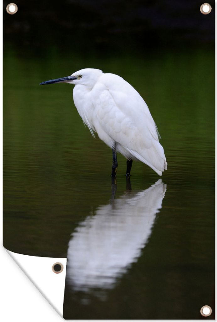 MuchoWow 80x120 cm Outdoor-Poster Gartendeko Sichtschutz Garten Poster für den Garten Seidenreiher im Wasser stehend