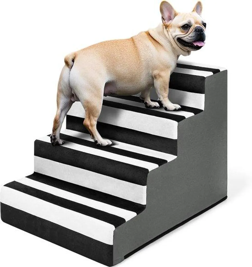 Escalier animaux antidérapant : évitez les sauts dangereux de vos chiens