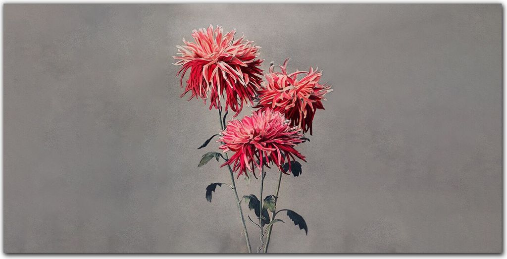Coloray Küchenrückwand 100x50 Spritzschutz aus Glas - Blumen Pflanzen